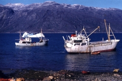 Rendeerfarm - Itinnera - Nuup Kangerlua - Godthåbsfjorden - 1976 - Foto: Ole Holbech