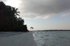 Govind Nagar Beach – Havelock Island – Andaman Islands – India – 2018 - Foto: Ole Holbech