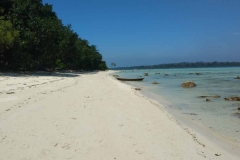 Govind Nagar Beach – Havelock Island – Andaman Islands – India – 2018 - Foto: Ole Holbech