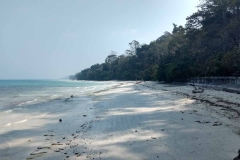 Govind Nagar Beach – Havelock Island – Andaman Islands – India – 2018 - Foto: Ole Holbech