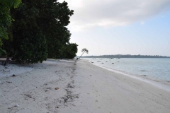 Govind Nagar Beach – Havelock Island – Andaman Islands – India – 2018 - Foto: Ole Holbech