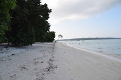 Govind Nagar Beach – Havelock Island – Andaman Islands – India – 2018 - Foto: Ole Holbech