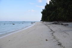 Govind Nagar Beach – Havelock Island – Andaman Islands – India – 2018 - Foto: Ole Holbech