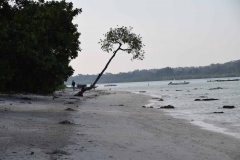 Govind Nagar Beach – Havelock Island – Andaman Islands – India – 2018 - Foto: Ole Holbech
