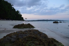 Govind Nagar Beach – Havelock Island – Andaman Islands – India – 2018 - Foto: Ole Holbech