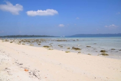 Govind Nagar Beach – Havelock Island – Andaman Islands – India – 2018 - Foto: Ole Holbech