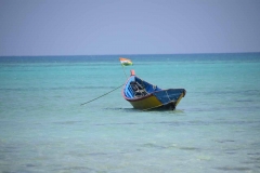 Govind Nagar Beach – Havelock Island – Andaman Islands – India – 2018 - Foto: Ole Holbech