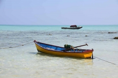 Govind Nagar Beach – Havelock Island – Andaman Islands – India – 2018 - Foto: Ole Holbech