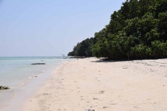 Govind Nagar Beach – Havelock Island – Andaman Islands – India – 2018 - Foto: Ole Holbech