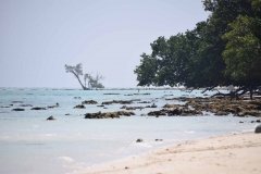 Govind Nagar Beach – Havelock Island – Andaman Islands – India – 2018 - Foto: Ole Holbech