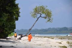 Govind Nagar Beach – Havelock Island – Andaman Islands – India – 2018 - Foto: Ole Holbech