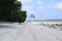 Govind Nagar Beach – Havelock Island – Andaman Islands – India – 2018 - Foto: Ole Holbech