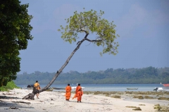 Govind Nagar Beach – Havelock Island – Andaman Islands – India – 2018 - Foto: Ole Holbech