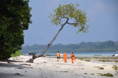 Govind Nagar Beach – Havelock Island – Andaman Islands – India – 2018 - Foto: Ole Holbech