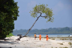 Govind Nagar Beach – Havelock Island – Andaman Islands – India – 2018 - Foto: Ole Holbech