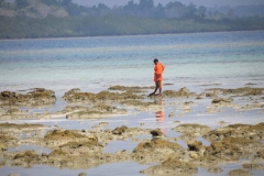 Govind Nagar Beach – Havelock Island – Andaman Islands – India – 2018 - Foto: Ole Holbech