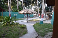 Govind Nagar Beach – Havelock Island – Andaman Islands – India – 2018 - Foto: Ole Holbech