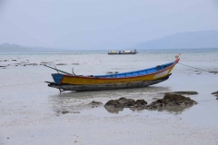 Govind Nagar Beach – Havelock Island – Andaman Islands – India – 2018 - Foto: Ole Holbech