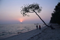 Govind Nagar Beach – Havelock Island – Andaman Islands – India – 2018 - Foto: Ole Holbech