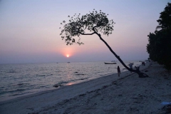 Govind Nagar Beach – Havelock Island – Andaman Islands – India – 2018 - Foto: Ole Holbech