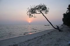 Govind Nagar Beach – Havelock Island – Andaman Islands – India – 2018 - Foto: Ole Holbech