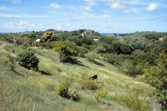 Grand Anse - Grenada - 1981 - Foto: Ole Holbech