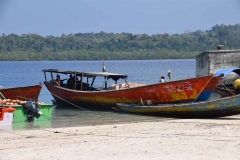 Havelock Island – Andaman and Nicobar Islands - India – 2018 - Foto: Ole Holbech