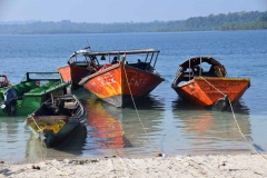 Havelock Island – Andaman and Nicobar Islands - India – 2018 - Foto: Ole Holbech