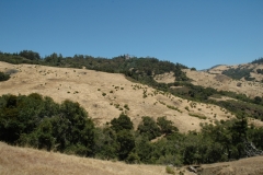 Hearst Castle – California – 2012 - Foto: Ole Holbech