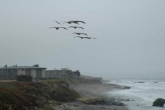 Highway 1 – California – USA – 2012 - Foto: Ole Holbech