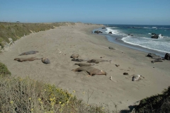 Highway 1 – California – USA – 2012 - Foto: Ole Holbech