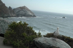 Highway 1 – California – USA – 2012 - Foto: Ole Holbech