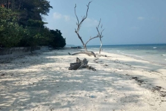 Kalapather Beach – Havelock Island – Andaman and Nicobar Islands - India – 2018 - Foto: Ole Holbech