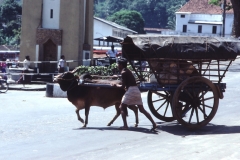 Kandy – Sri Lanka – 1987 - Foto: Ole Holbech