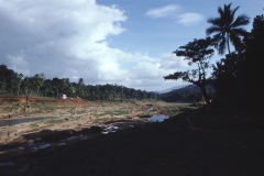 Kandy – Sri Lanka – 1987 - Foto: Ole Holbech