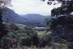 Kandy – Sri Lanka – 1987 - Foto: Ole Holbech