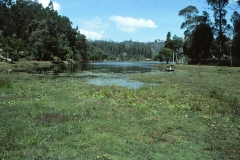 Kodaikanal - Tamil Nadu - India - 1983 - Foto: Ole Holbech