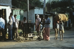 Kodaikanal - Tamil Nadu - India - 1983 - Foto: Ole Holbech