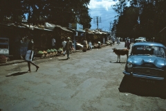 Kodaikanal - Tamil Nadu - India - 1983 - Foto: Ole Holbech