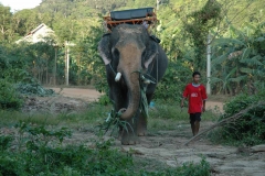 Koh Lanta – Thailand – 2008 - Foto: Ole Holbech