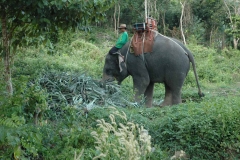 Koh Lanta – Thailand – 2008 - Foto: Ole Holbech