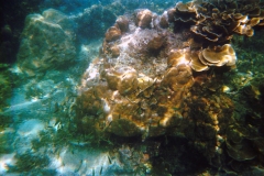 Koh Phi Phi – Thailand – 1994 - Foto: Ole Holbech