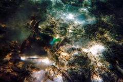 Koh Phi Phi – Thailand – 1994 - Foto: Ole Holbech