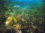 Koh Phi Phi - Thailand - 1994