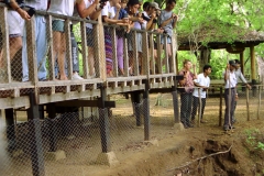 Komodo – Indonesia – 1993 - Foto: Ole Holbech