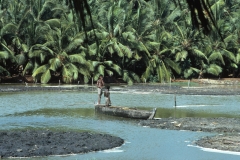 Kovalam - Kerala - India - 1983 - Foto: Ole Holbech