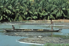 Kovalam - Kerala - India - 1983 - Foto: Ole Holbech