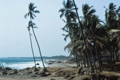 Kovalam - Kerala - India - 1983 - Foto: Ole Holbech
