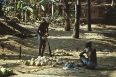 Kovalam - Kerala - India - 1983 - Foto: Ole Holbech