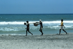 Kovalam - Kerala - India - 1983 - Foto: Ole Holbech